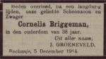 Briggeman Cornelis-NBC-10-12-1914 (n.n.) 2.jpg
